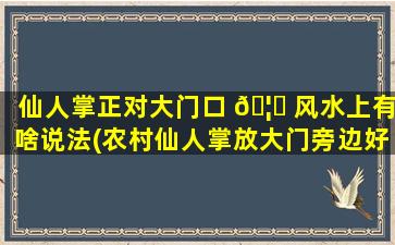 仙人掌正对大门口 🦆 风水上有啥说法(农村仙人掌放大门旁边好吗)
